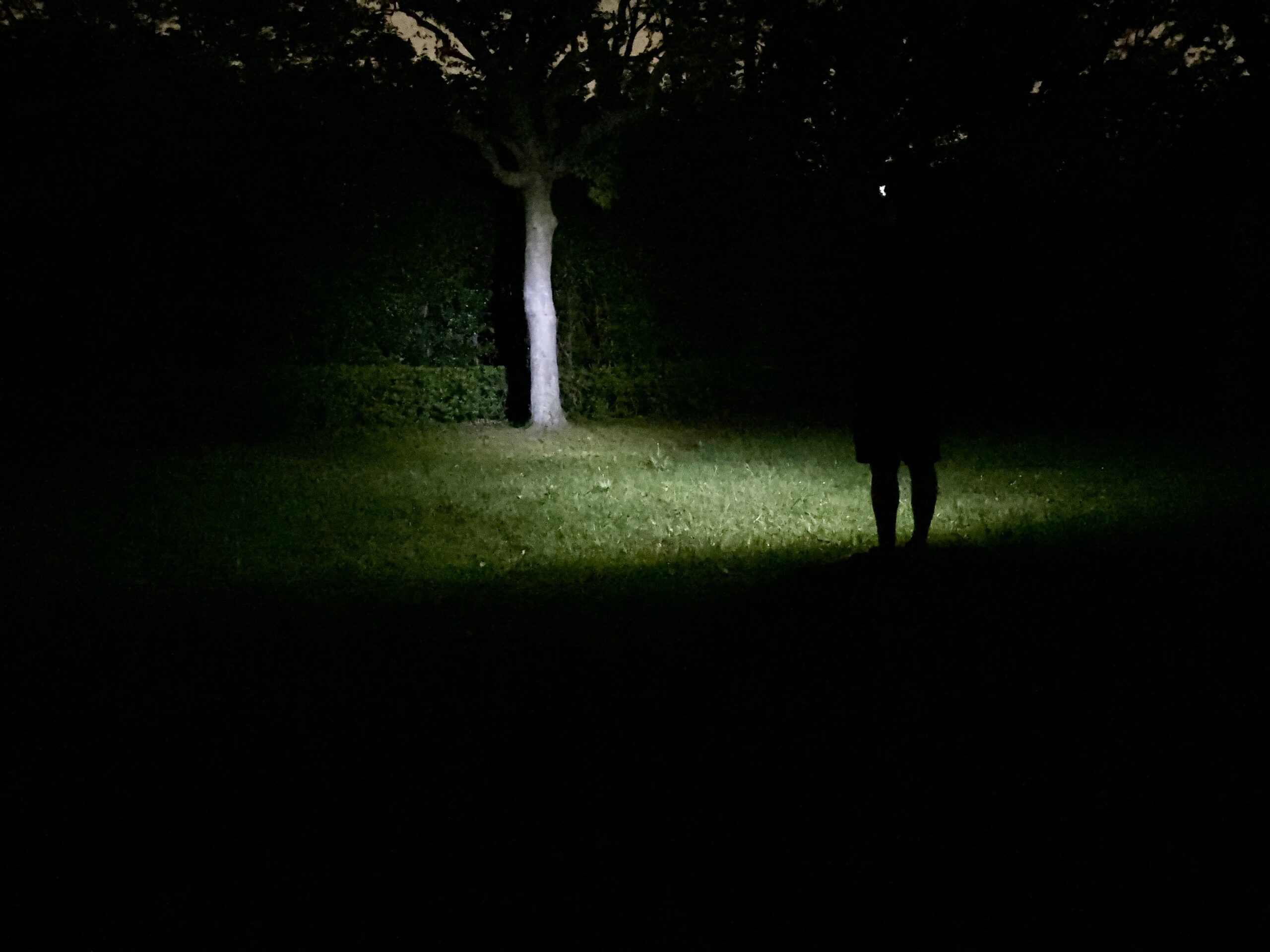 Cercanoミニヘッドライトで夜のランニングが変わった